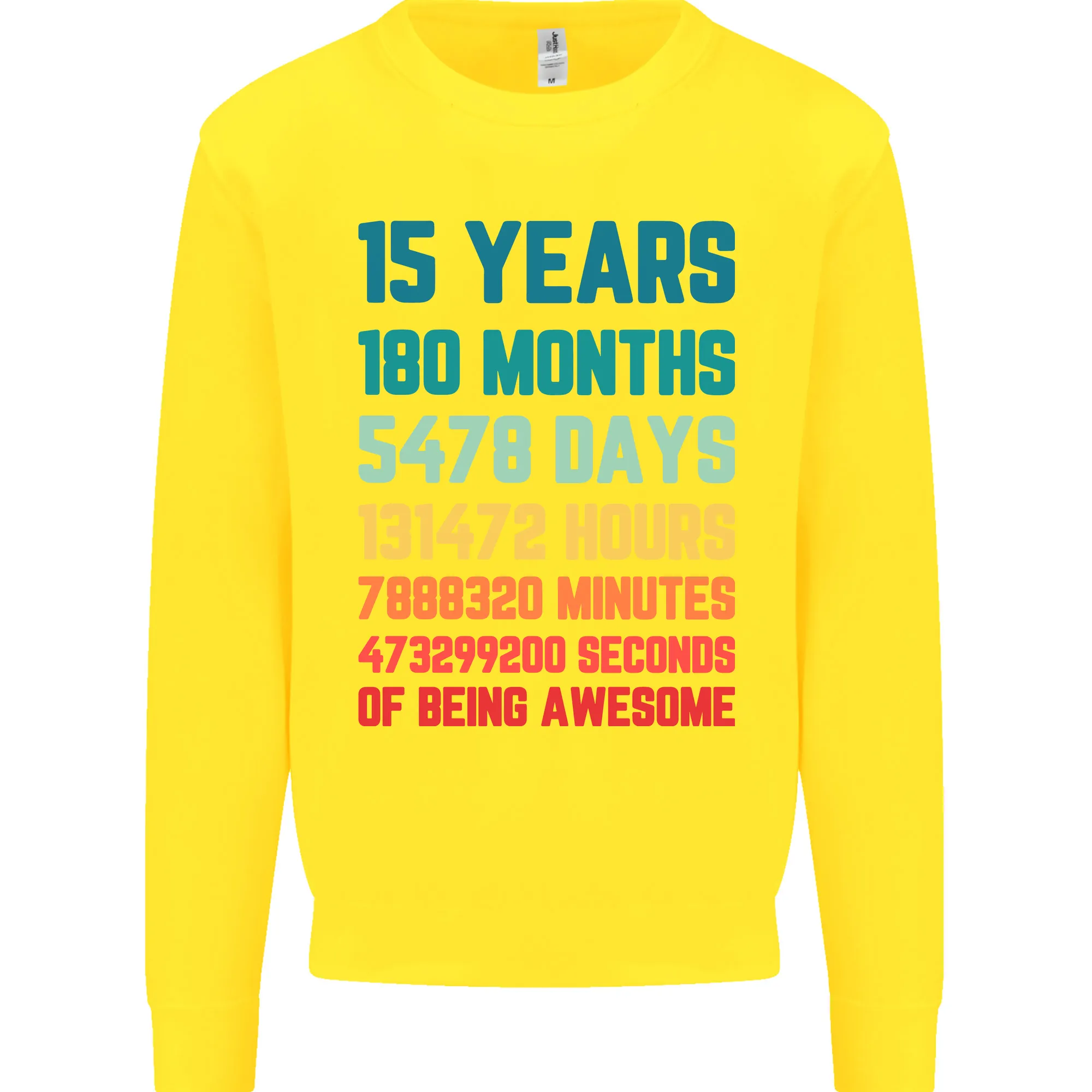 15th Birthday 15 Year Old Kids Sweatshirt Jumper