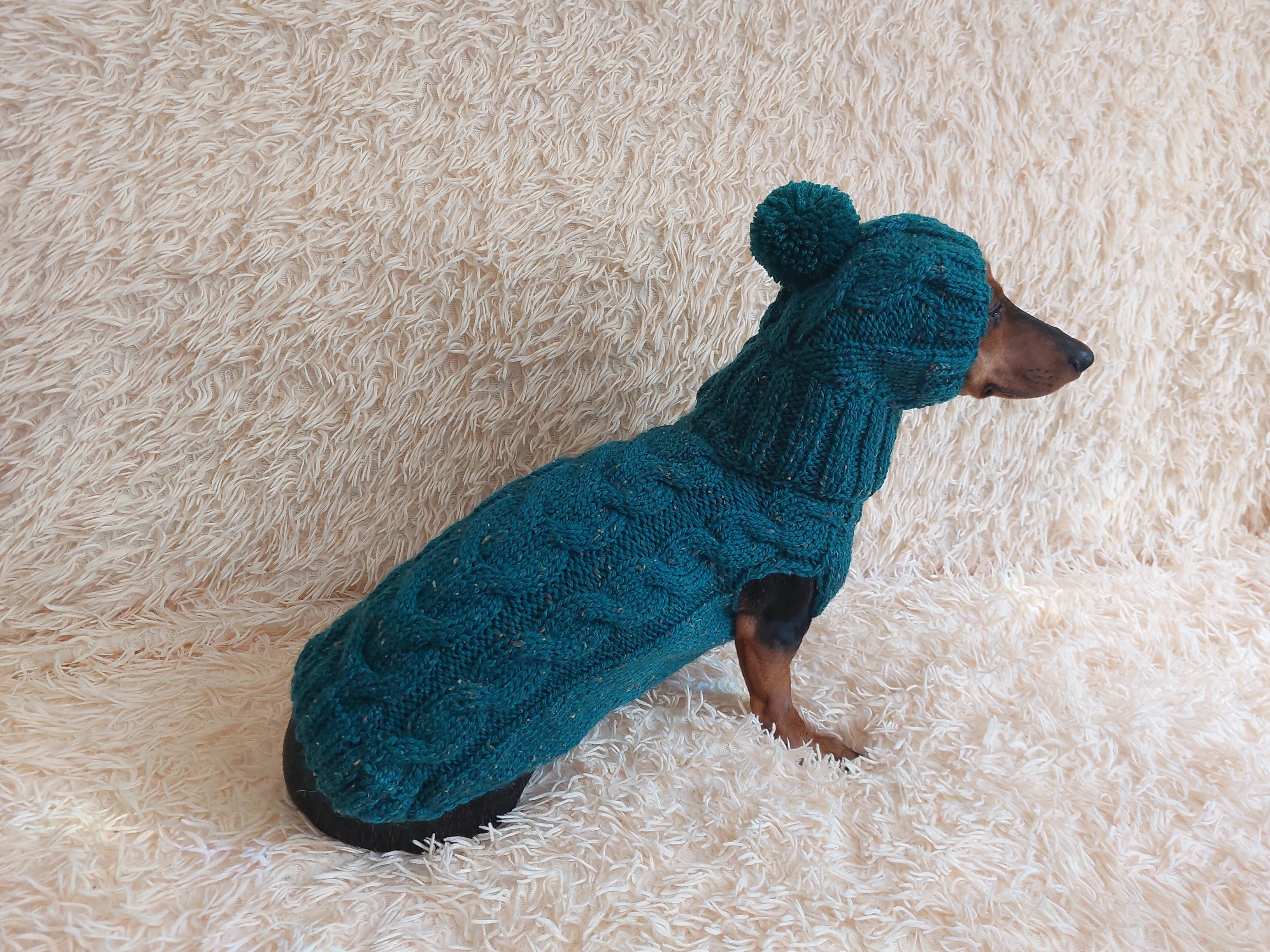 Alpaca wool costume with classic arana sweater and hat for dachshund or small dog, winter set sweater and hat for dogs