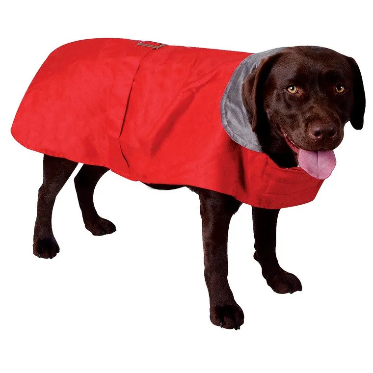 Buckle Style Quilted Dog Jacket, 55cm, 3 Asstd Colours