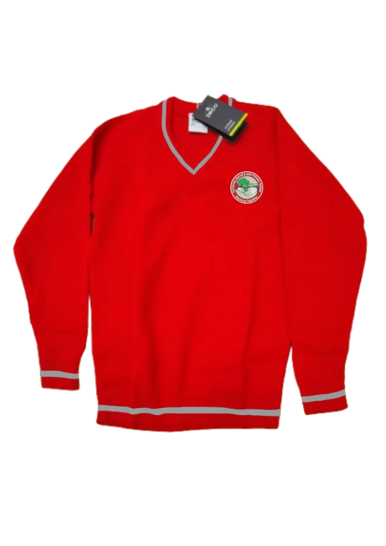 Collierley Nursery & Primary School Red Knitted Jumper