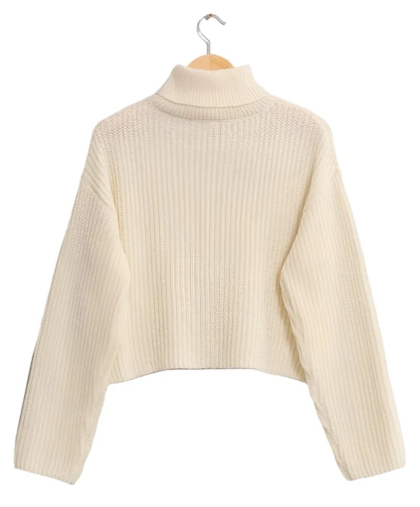 Tiff Crop Turtleneck Sweater